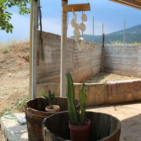 Prosilia Guesthouse Apartment